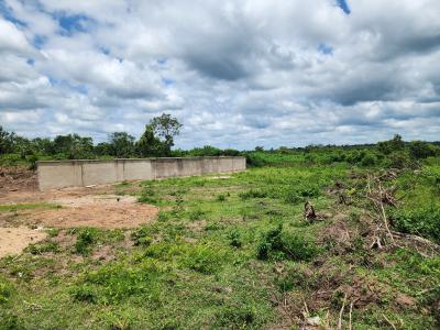 Acres of Farmland with a Promo Offer Suitable for Oil Palm Plantation, Off Funaab, Alabata Road, Odeda, Ogun, Mixed-use Land for Sale