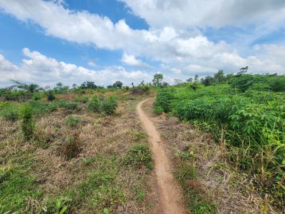 Own Productive Farmland Suitable for Cassava Farming, Off Funaab, Alabata Road, Odeda, Ogun, Mixed-use Land for Sale