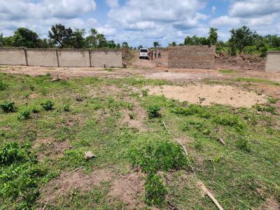 Own Affordable, Fertile Farmland Ideal for Cashew Farming, Off Funaab, Alabata Road, Odeda, Ogun, Mixed-use Land for Sale