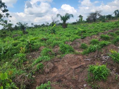 Own Acres of 100% Fertile Land Suitable for Plantain Farming, Off Funaab, Alabata Road, Odeda, Ogun, Mixed-use Land for Sale