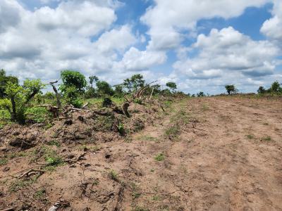 High Yield Farmland Selling Fast with a Promo Offer, Off Funaab, Alabata Road, Odeda, Ogun, Mixed-use Land for Sale