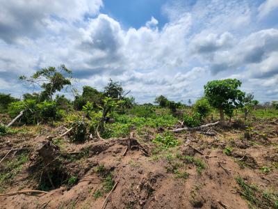 Make Money From Farming Without Doing The Work, Off Funaab, Alabata Road, Odeda, Ogun, Mixed-use Land for Sale