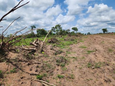 Invest in Agriculture and Watch Your Money Grow, Off Funaab, Alabata Road, Odeda, Ogun, Mixed-use Land for Sale