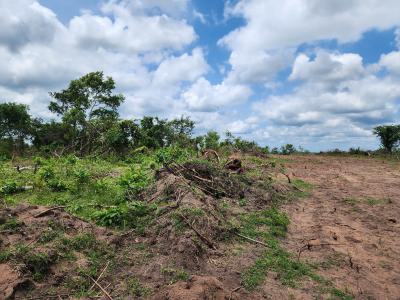 Own 100% Fertile Farmland, Ideal for Cocoa Farming, Off Funaab, Alabata Road, Odeda, Ogun, Mixed-use Land for Sale