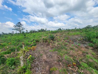 Acres of Farmland with a Promo Offer Suitable for Plantain Farming, Off Funaab, Alabata Road, Odeda, Ogun, Mixed-use Land for Sale