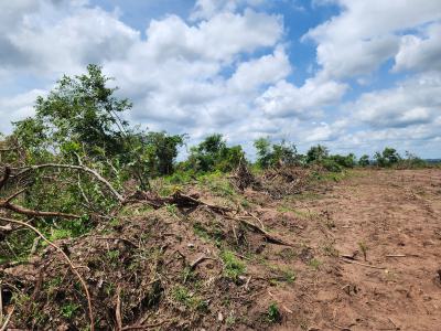 Own Affordable, Fertile Farmland Ideal for Cashew Farming, Off Funaab, Alabata Road, Odeda, Ogun, Mixed-use Land for Sale