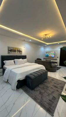 Big Studio Room Apartment, Triune Court Estate, Gudu, Abuja, Flat / Apartment Short Let