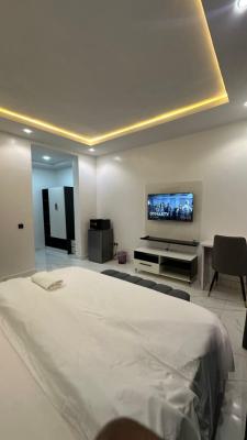 Hoolio_apartment Gudu (allybella) - 104 One Room Apartment, Triune Court Estate, Gudu, Abuja, Flat / Apartment Short Let