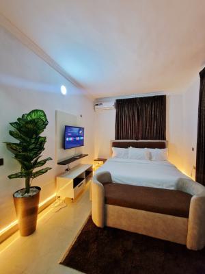 Hoolio_apartment Garki (samthia) - 402 One Room Apartment, Ogbomoso Street, Garki, Abuja, Flat / Apartment Short Let