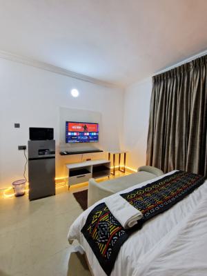 Hoolio_apartment Garki (samthia) - 501 One Room Apartment, Ogbomoso Street, Garki, Abuja, Flat / Apartment Short Let
