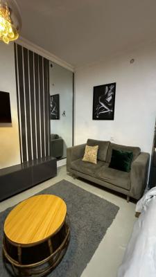 Standard Mini Flat with Close Kitchen in Osapa By Circle Mall, Osapa London By Circle Mall, Osapa, Lekki, Lagos, Mini Flat (room and Parlour) for Rent