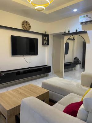 Cozy 1 Bedroom Apartment, Surulere, Lagos, Mini Flat (room and Parlour) Short Let