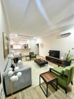 Fully Furnished & Serviced 2 Bedrooms Flat, Guzape Main, Guzape District, Abuja, Flat / Apartment for Rent