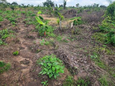 Acres of Farmland with a Promo Offer Suitable for Plantain Farming, Off Funaab, Alabata Road, Odeda, Ogun, Mixed-use Land for Sale