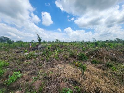 Own Productive Farmland Suitable for Plantain Farming, Off Funaab, Alabata Road, Odeda, Ogun, Mixed-use Land for Sale