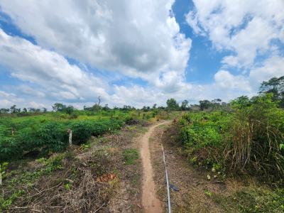 Own Acres of 100% Fertile Land Suitable for Cassava Farming, Off Funaab, Alabata Road, Odeda, Ogun, Mixed-use Land for Sale