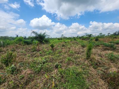 Let Your Money Work for You Through Agriculture, Off Funaab, Alabata Road, Odeda, Ogun, Mixed-use Land for Sale