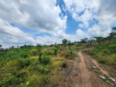 Turn Plots Into Millions Every Farming Season, Off Funaab, Alabata Road, Odeda, Ogun, Mixed-use Land for Sale