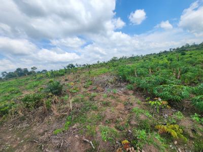 Own Affordable, Fertile Farmland Ideal for Plantain Farming, Off Funaab, Alabata Road, Odeda, Ogun, Mixed-use Land for Sale
