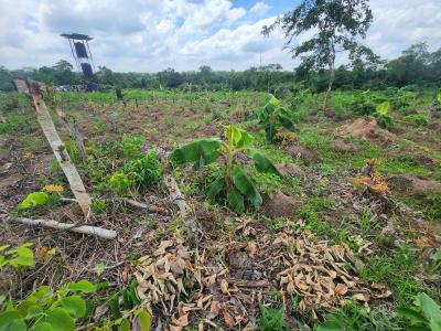 Get Your Own Farmland and Start Cultivating Plantain, Off Funaab, Alabata Road, Odeda, Ogun, Mixed-use Land for Sale
