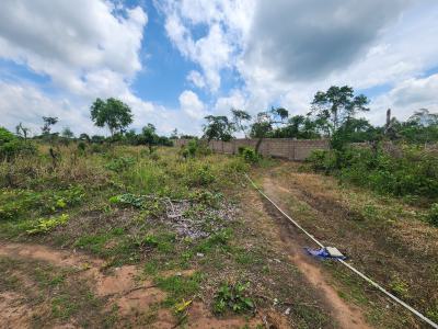 a Farmland That Brings Income, Not Stress, Off Funaab, Alabata Road, Odeda, Ogun, Mixed-use Land for Sale
