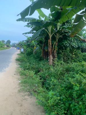 a Parcel of Land, Nung Ettet, Uyo, Akwa Ibom, Mixed-use Land for Sale