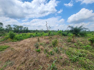 Own Productive Farmland Suitable for Oil Palm Farming, Off Funaab, Alabata Road, Odeda, Ogun, Mixed-use Land for Sale