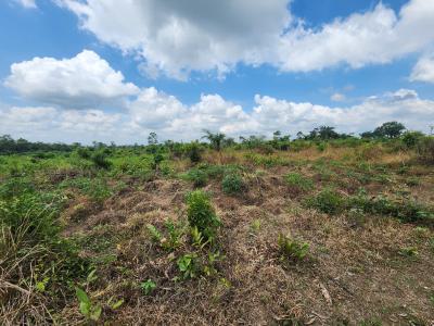 Own 100% Fertile Farmland, Ideal for Cashew Farming, Off Funaab, Alabata Road, Odeda, Ogun, Mixed-use Land for Sale