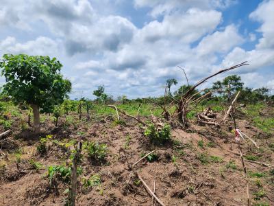 Own Acres of 100% Fertile Land Suitable for Cocoa Farming, Off Funaab, Alabata Road, Odeda, Ogun, Mixed-use Land for Sale
