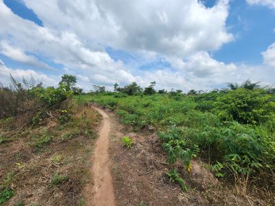 Invest Once and Harvest Profits for Years, Off Funaab, Alabata Road, Odeda, Ogun, Mixed-use Land for Sale