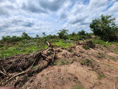 Own Affordable, Fertile Farmland Ideal for Cocoa Farming, Off Funaab, Alabata Road, Odeda, Ogun, Mixed-use Land for Sale