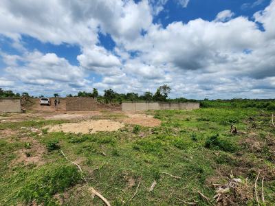 Turn Farmland Into a Lifetime Source of Income, Off Funaab, Alabata Road, Odeda, Ogun, Mixed-use Land for Sale