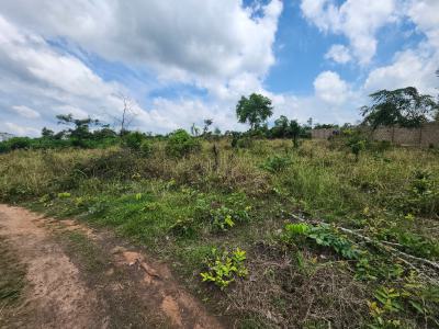 a Safe and Secure Way to Earn From Agriculture, Off Funaab, Alabata Road, Odeda, Ogun, Mixed-use Land for Sale