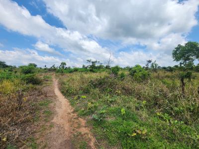 Farm Investment That Brings Real and Tangible Profit, Off Funaab, Alabata Road, Odeda, Ogun, Mixed-use Land for Sale