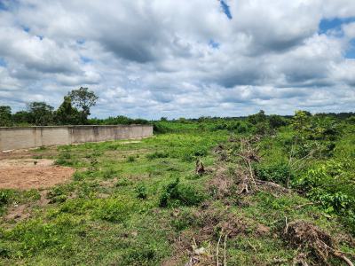 Earn Passive Income From The Agricultural Value Chain, Off Funaab, Alabata Road, Odeda, Ogun, Mixed-use Land for Sale