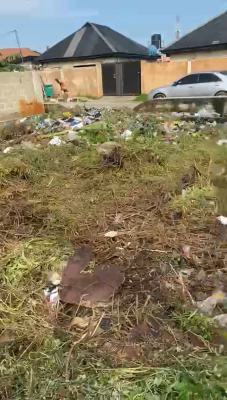 a Half Plot of Land with C of O on a Tarred and Gated Community, Anipole Street, Gbagada, Lagos, Land for Sale
