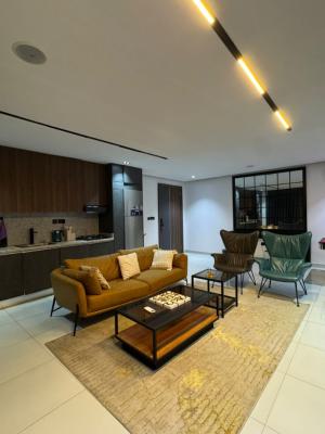 Beautiful Furnished 2-bedroom Apartment, Off Freedom Way, Lekki, Lagos, Flat / Apartment for Rent