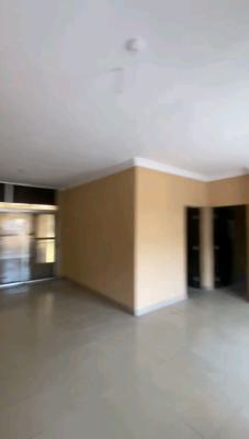 Standard and Executive 3 Bedroom Flat, Soluyi, Gbagada, Lagos, Flat / Apartment for Rent