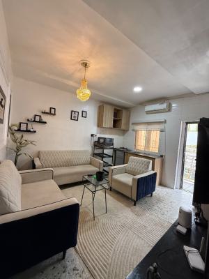 Luxury Furnished Studio One Bed, Jahi Gilmore, Jahi, Abuja, Mini Flat (room and Parlour) for Rent
