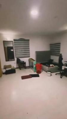 Luxury Spacious 1 Bedroom Mini Flat, Lekki Phase 1, Lekki, Lagos, Mini Flat (room and Parlour) for Rent