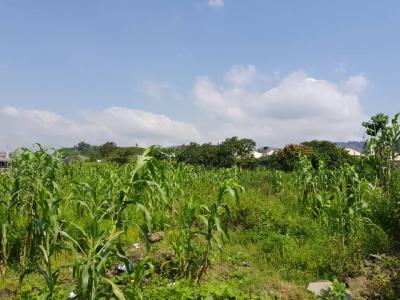 Residential Plot, Katampe, Abuja, Residential Land for Sale