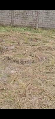 2,700 Cornerpiece Land, Along Ado Road, Ajah, Lagos, Mixed-use Land for Sale