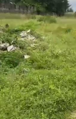 No Premium Land for Development, Obanikoro, Shomolu, Lagos, Mixed-use Land Joint Venture
