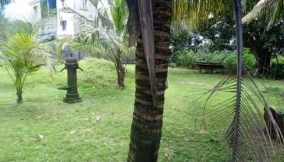 Land Measuring 2,008sqm, Thomas Estate, Ajah, Lagos, Residential Land Joint Venture