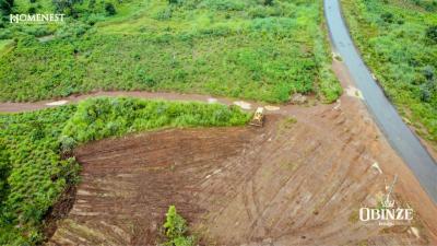 Obinze Estate, Ngwogo Nike Emene, Abakpa Nike, Enugu, Enugu, Commercial Land for Sale