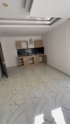 Ground Floor, Beautiful Miniflat in a Serene Estate, Emma Abimbola Cole Street, Off Fola Osibo, Lekki Phase 1, Lekki Phase 1, Lekki, Lagos, Mini Flat (room and Parlour) for Rent