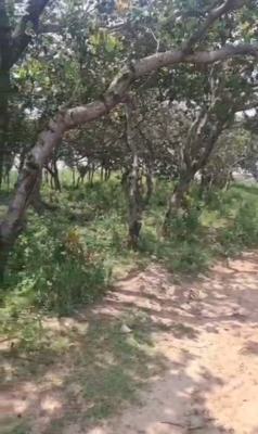 13 Hectares of Dry Land, Karsana West, Karsana, Abuja, Mixed-use Land for Sale