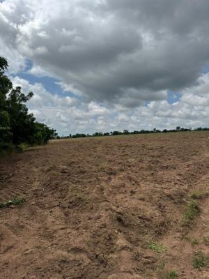 Own an Acre of Farm Land Or More at All-inclusive, Ofuape Village, Abeokuta South, Ogun, Mixed-use Land for Sale