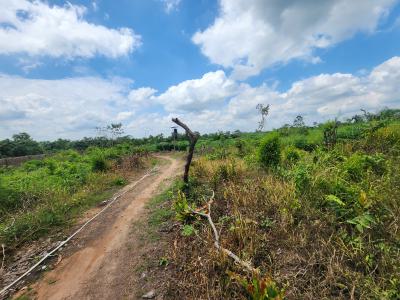 Grow Wealth From The Ground Up with Farmland, Off Funaab, Alabata Road, Odeda, Ogun, Mixed-use Land for Sale