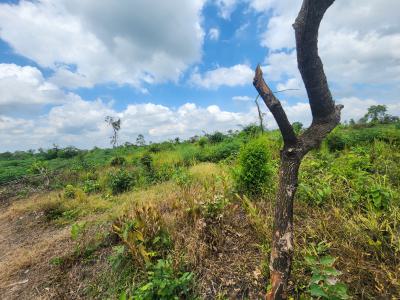 Turn Farmland Into a Lifetime Source of Income, Off Funaab, Alabata Road, Odeda, Ogun, Mixed-use Land for Sale